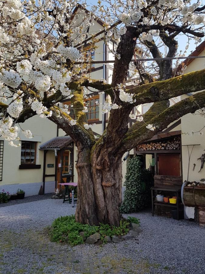 Ferienwohnung Zum-Alten-Kirschbaum Limburg an der Lahn Exterior foto
